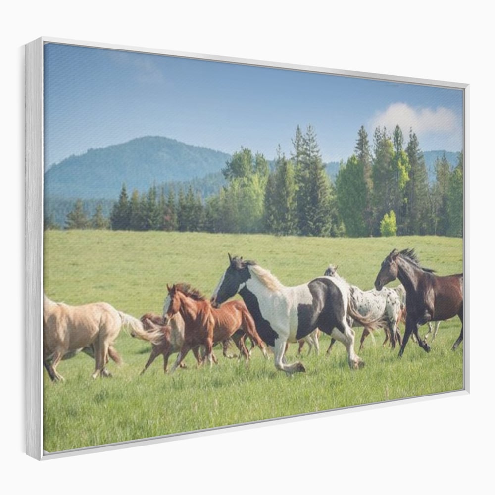 Tablou canvas cu grup de cai care galopeaza pe pajiste, in rama de aluminiu argintiu